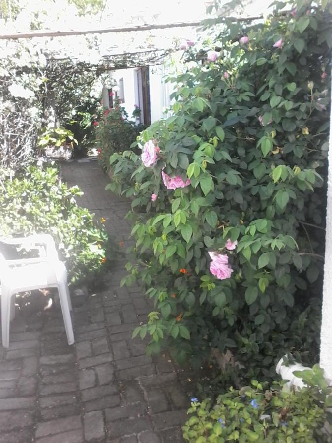 Self Catering Unit 7, Sandbaai Hermanus Zewnętrze zdjęcie