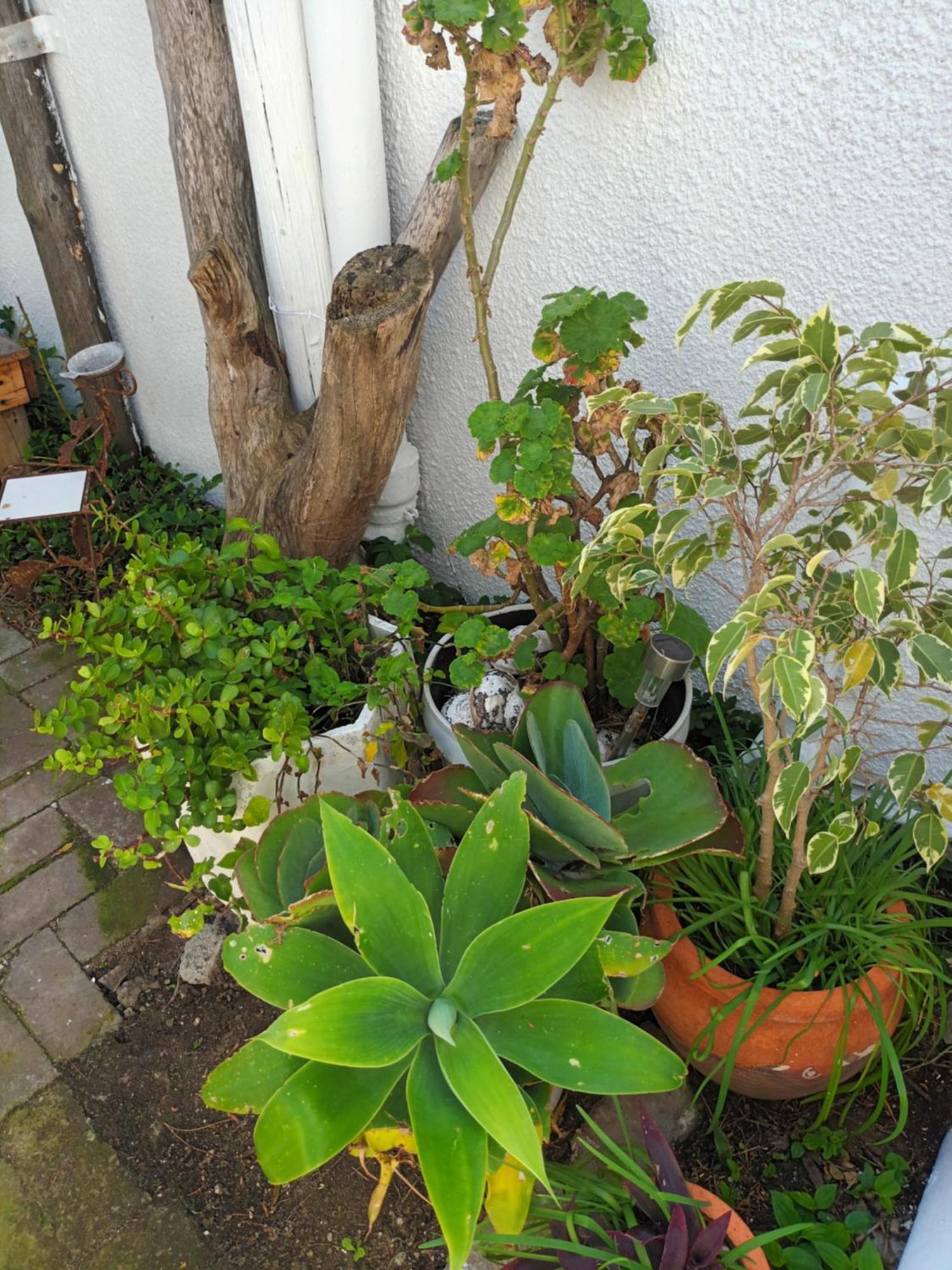 Self Catering Unit 7, Sandbaai Hermanus Pokój zdjęcie